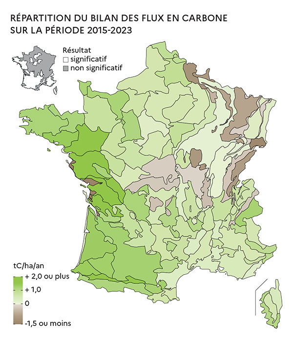 Répartition du bilan des flux en carbone sur la période 2015-2023