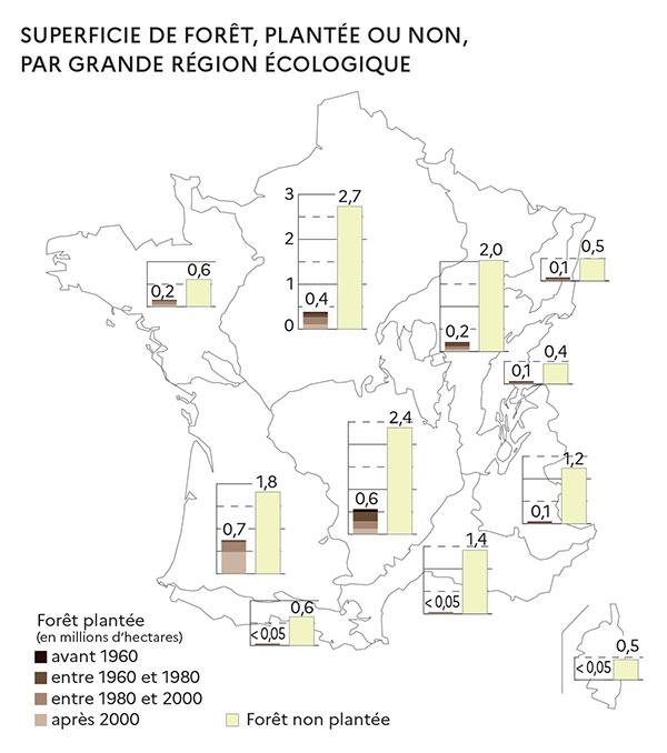 Superficie de forêt, plantée ou non, par grande région écologique