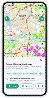 Application Cartes IGN - Culture : Vigne - janvier 2026