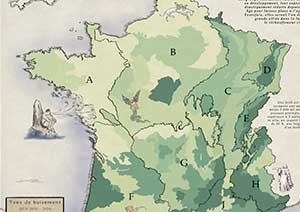 Cartographie des sylvoécorégions de la France hexagonale et Corse