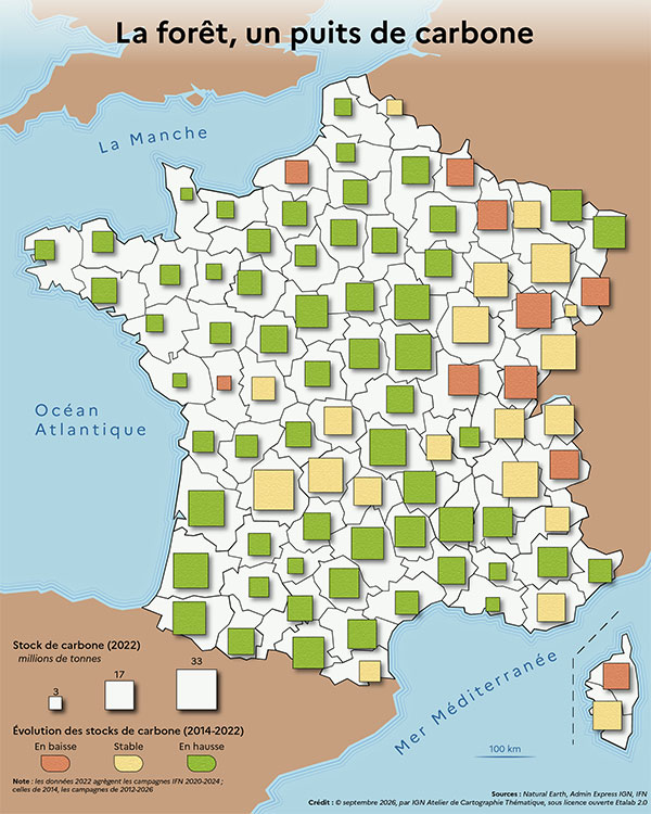 La forêt française, un puits de carbone