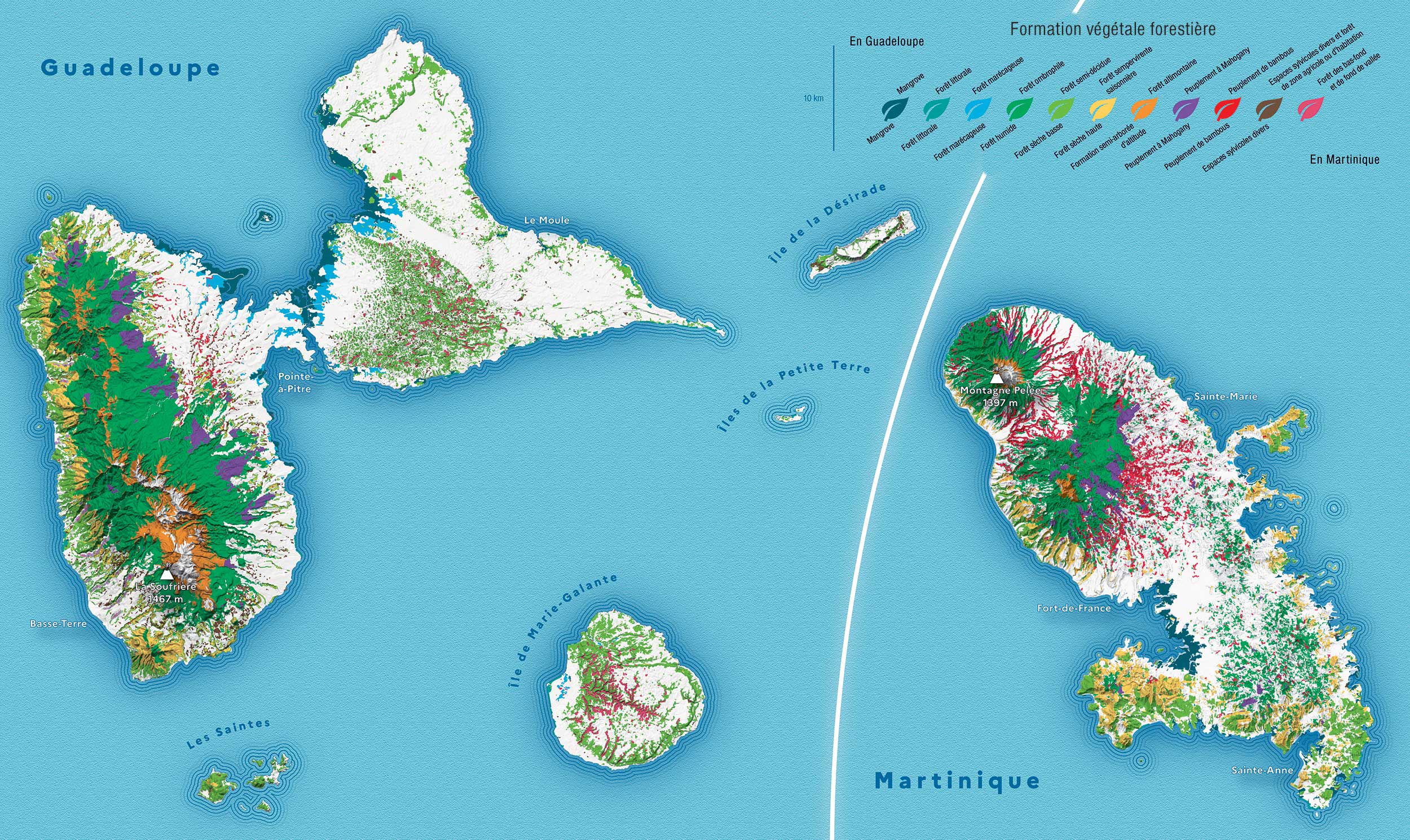 Les formations végétales forestières de la Guadeloupe et de la Martinique © Atelier de cartographie thématique de l’IGN Les formations végétales forestières de la Guadeloupe et de la Martinique © Atelier de cartographie thématique de l’IGN