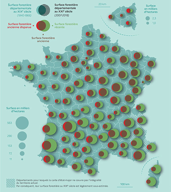 Deux siècles d’évolution des forêts françaises