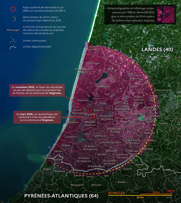 Deux premiers foyers français sous haute surveillance Crédits : Atelier de cartographie thématique de l’IGN