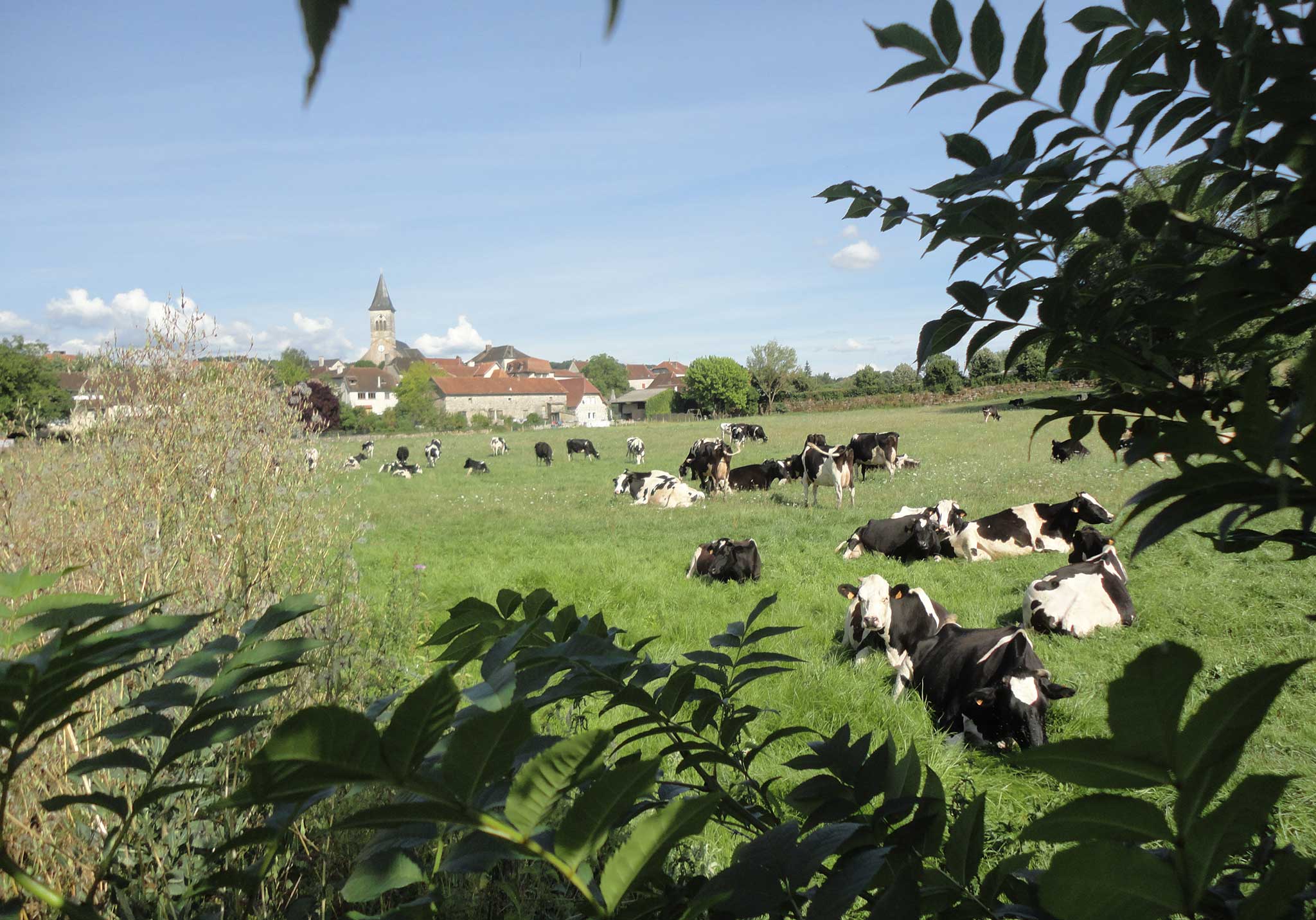 Le paysage est toujours un objet politique en plus d’être une expérience esthétique