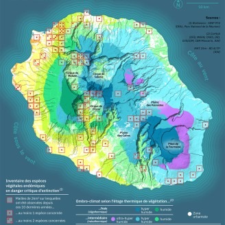 Carte - L'île de la Réunion, une flore endémique exceptionnelle mais menacée
