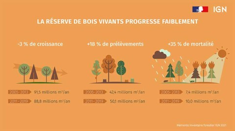 La réserve de bois vivants progresse faiblement.