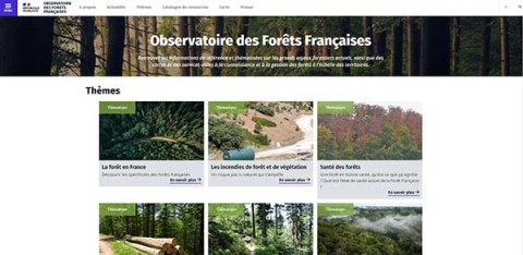 Page d'accueil du site de l'Observatoire des forêts françaises