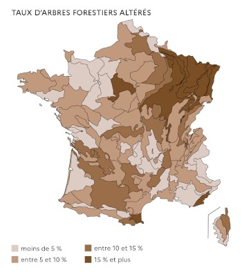 Taux d'arbres forestiers altérés