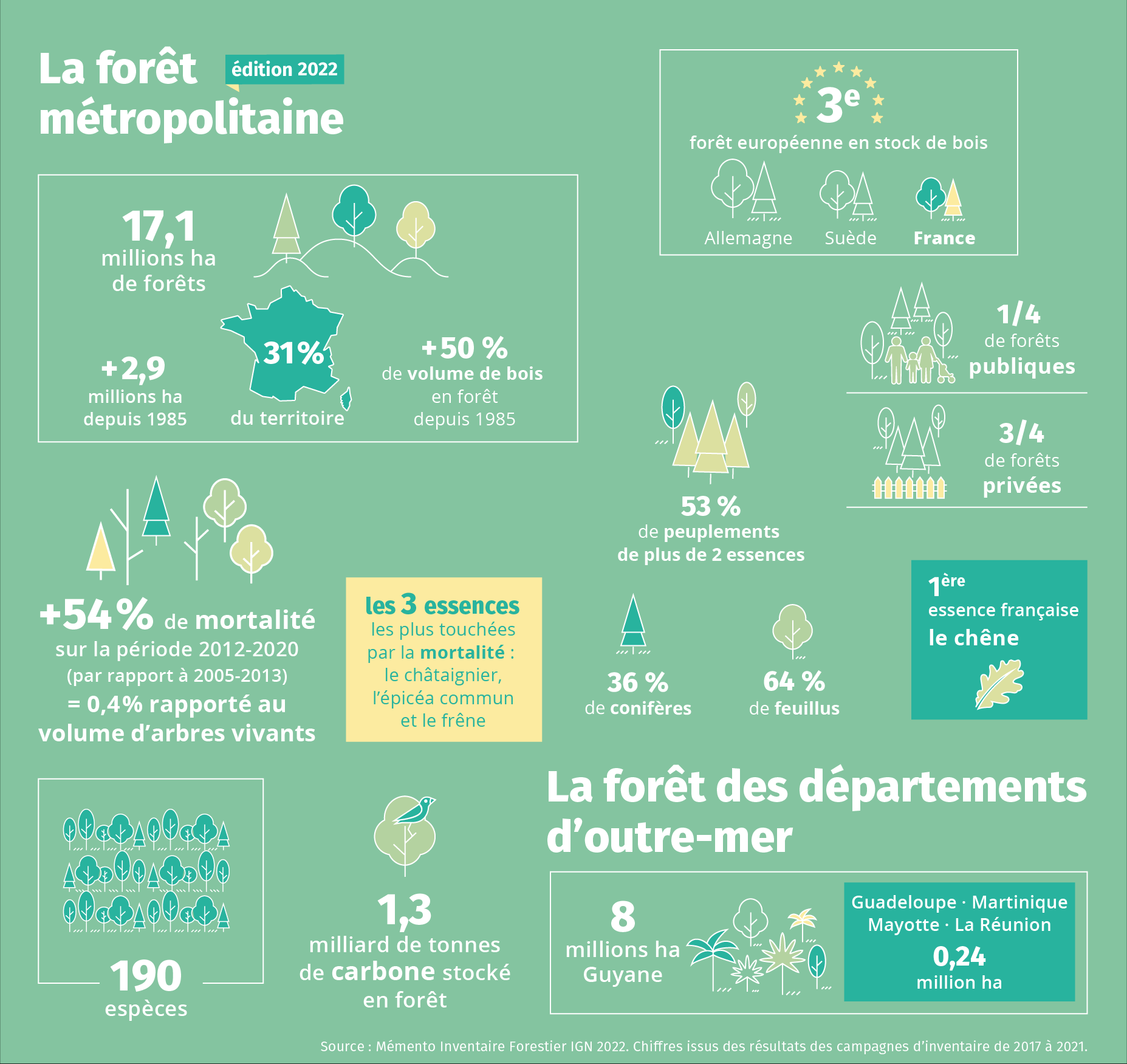 La forêt en France métropolitaine couvre une superficie de 17,1 millions d'hectares.